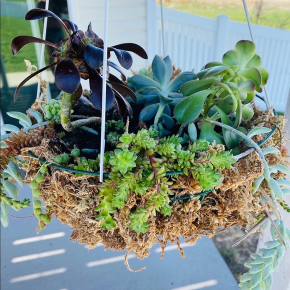 Posher, Amelia G - Picture 12 of 12